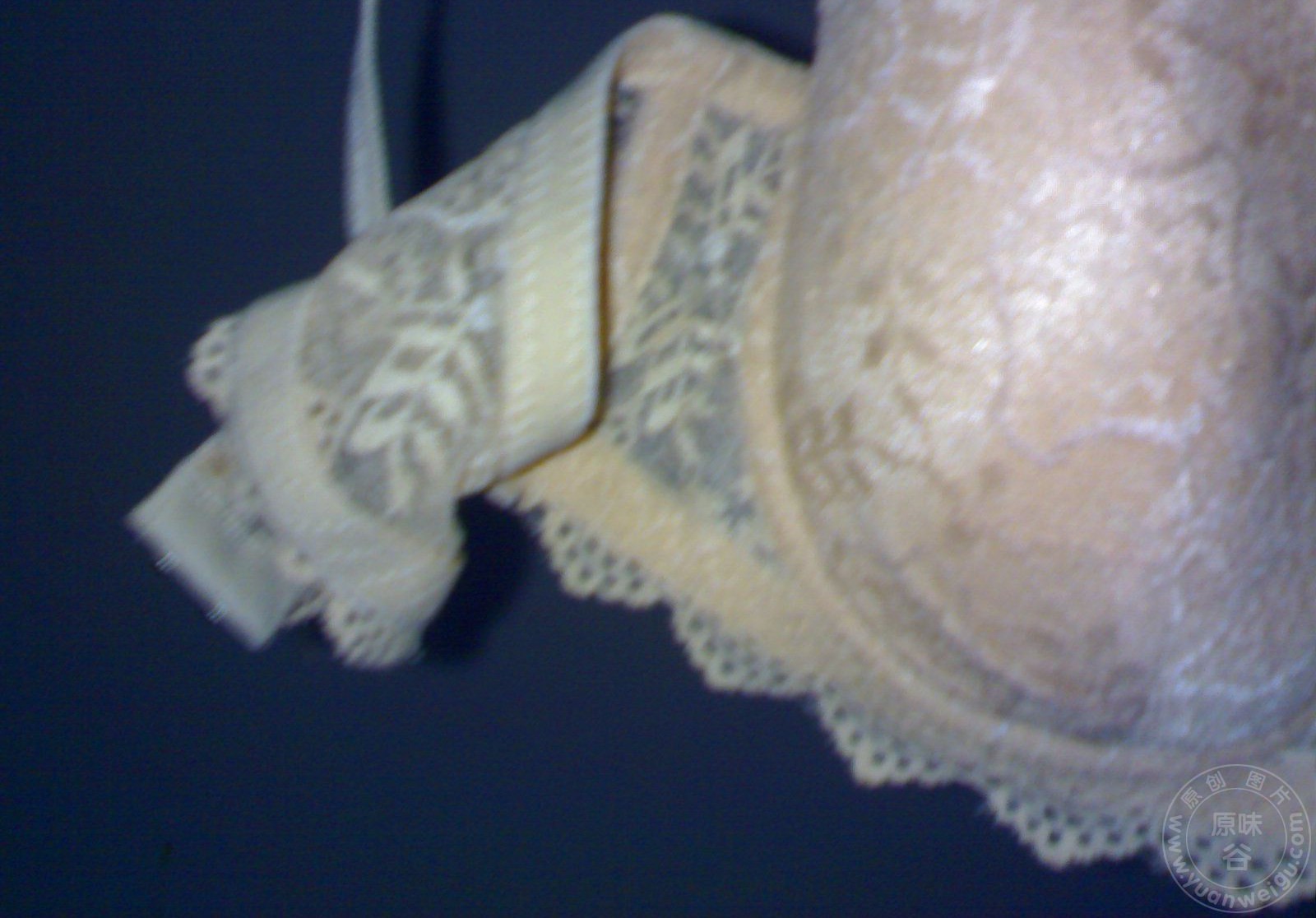 10070114575ec1db93747adf92.jpg