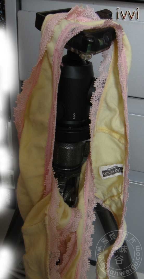 230813edemyujkdycukmgz.jpg