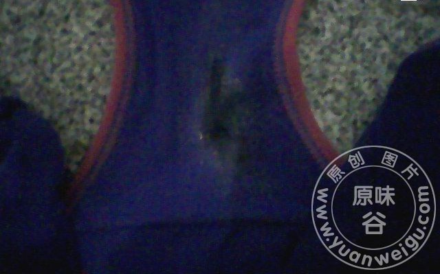 1008290157b67d5743e007b6de.jpg