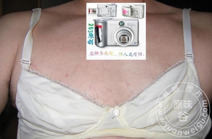 5_17_c8393944d33bbd5.jpg