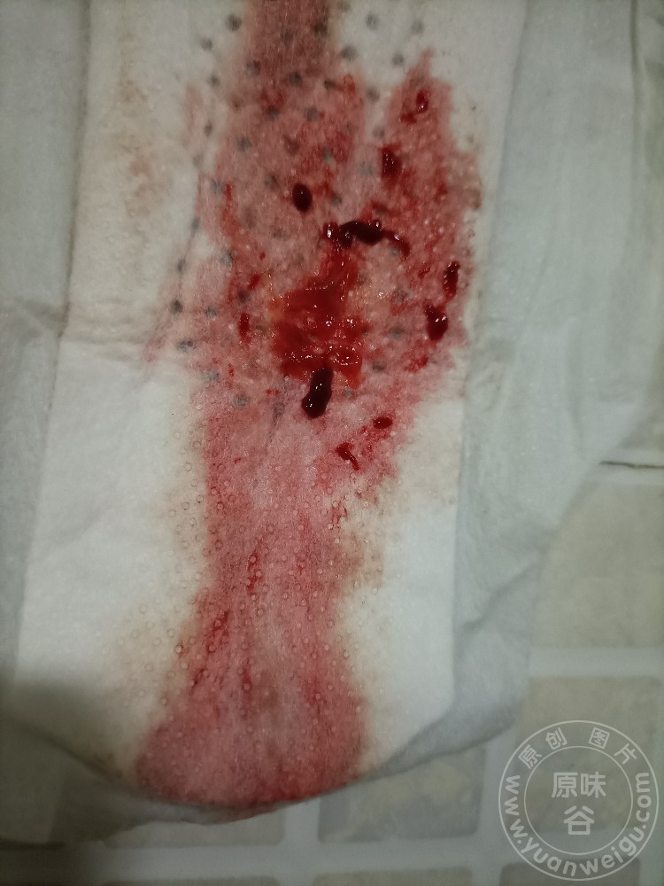 IMG20220909154227.jpg