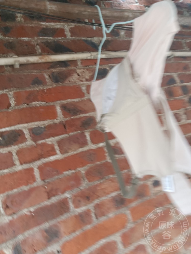 IMG20220920151424.jpg
